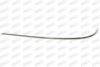 PRASCO ME0411254 Trim/Protective Strip, bumper